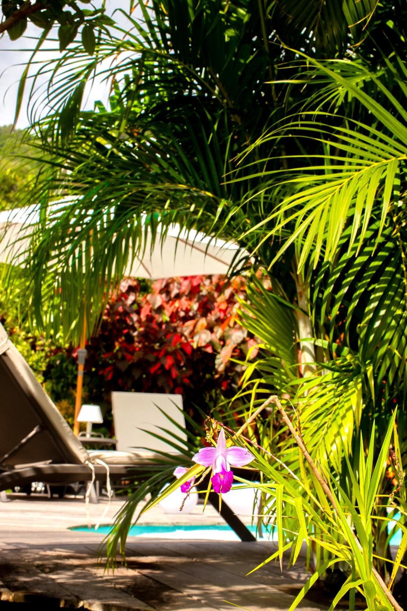 La Villa Baie Du Marin Le Marin Ngoại thất bức ảnh